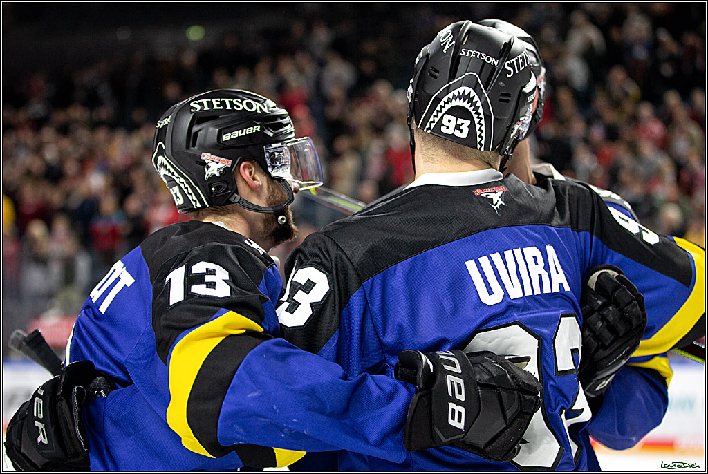 PENNY DEL; Koelner Haie- Fishtown Pinguins Bremerhaven; Koeln, 23.11.2021